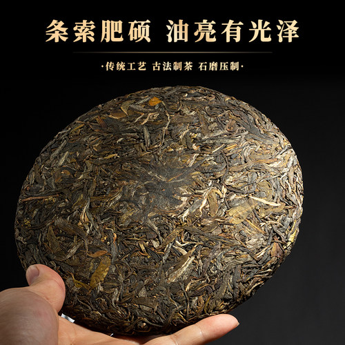云南临沧冰岛古树私藏普洱生茶纯料七子饼茶生茶2499克珍藏送礼 - 图0