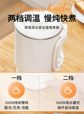 110V小型旅行户外水壶折叠电热水