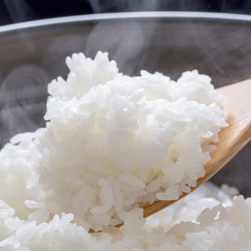 米老板稻香5号东北大米10kg/袋现磨新米真空包装锁鲜,淘宝优惠券,粉丝福利购,淘宝优惠卷