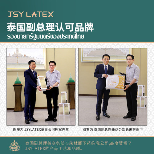 JSY LATEX泰国乳胶U型护颈午睡趴枕飞机旅行枕 -DM - 图0