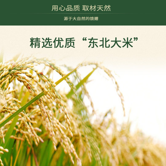 Mifen Baby High Speed Rail 4–36 Monate Baby. Kaufen Sie 1 und erhalten Sie 1 gratis