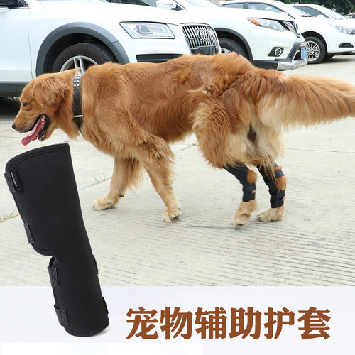 宠物护膝护腿狗狗骨折腿部受伤手术固定支撑保护套金毛大型犬护具 - 图2