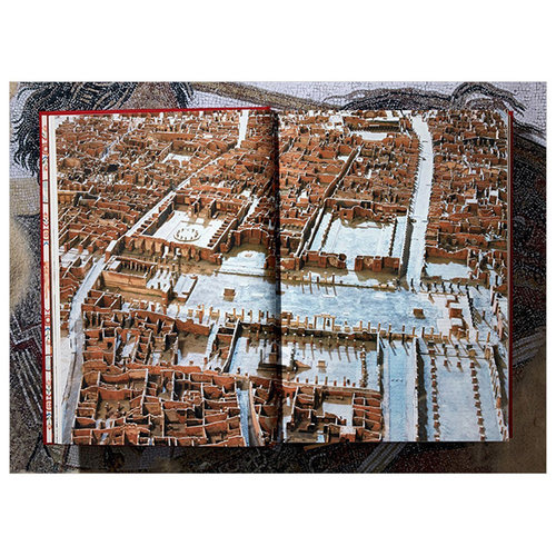 【现货】TASCHEN 庞贝古城的房屋和纪念碑(大开本) Fausto&Felice Niccolini Houses and monuments of Pompeii 英文原版设计建筑 - 图3
