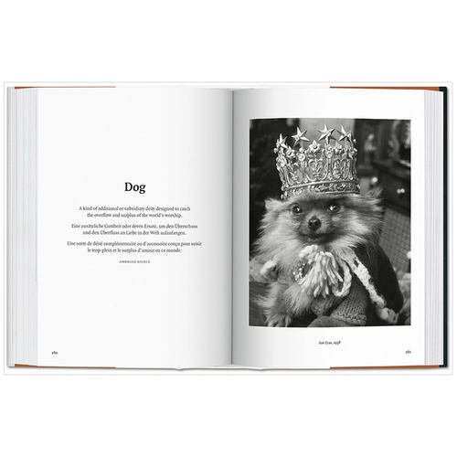 【预订】TASCHEN The Dog in Photography 1839-Today图书馆系列照片中的狗狗1839-现在宠物萌宠艺术摄影作品进口原版英文图书 - 图1