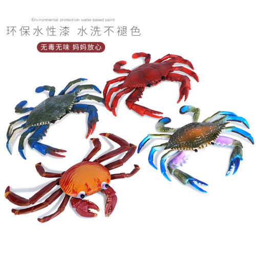 仿真海洋生物螃蟹玩具动物模型梭子蟹莎莉蟹实心儿童认知科教礼物 - 图2