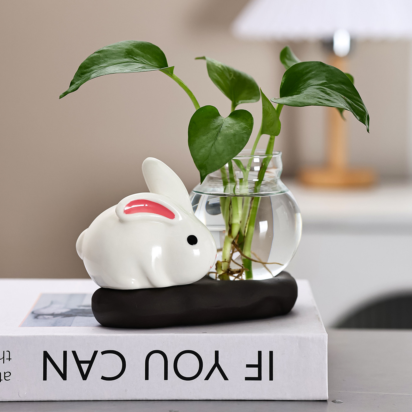 可爱陶瓷兔子水培花盆水养花瓶陶瓷花盆透明多肉花盆桌面装饰,淘宝优惠券,粉丝福利购,淘宝优惠卷