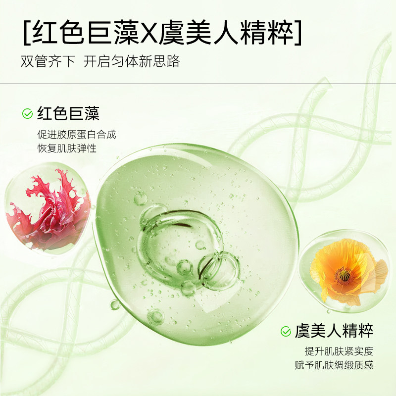 图 3