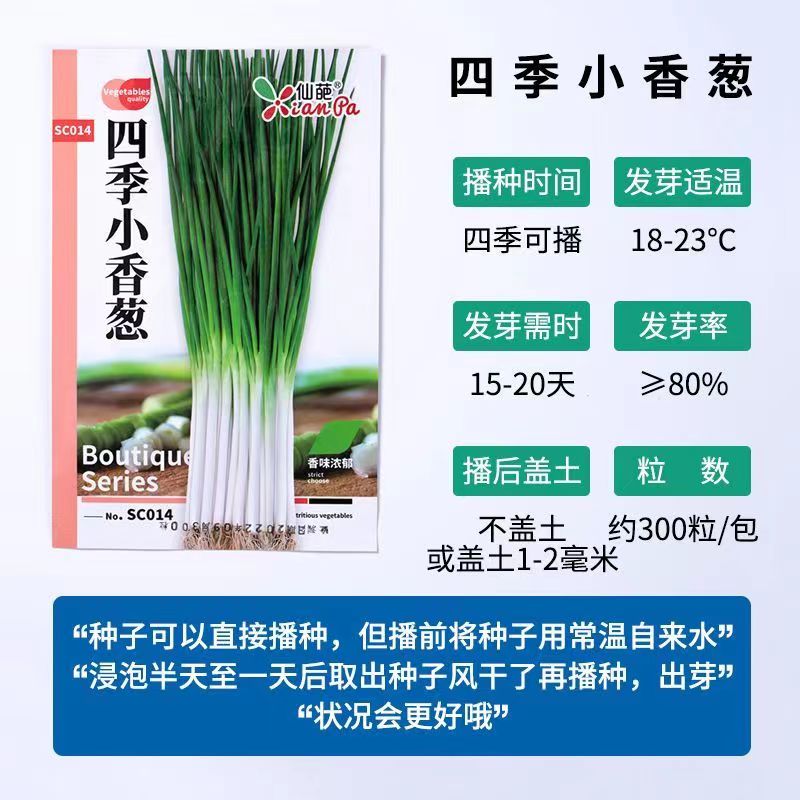 四季小香葱种子阳台室内盆栽家庭室内可种菜种蔬菜种籽_绿宝种业公司_鲜花速递/花卉仿真/绿植园艺-第2张图片-提都小院 四季小香葱种子阳台室内盆栽家庭室内可种菜种蔬菜种籽_绿宝种业公司_鲜花速递/花卉仿真/绿植园艺-第2张图片-提都小院