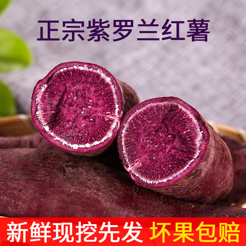 广东沙地紫罗兰新鲜现挖小个地瓜 鲜乐意番薯