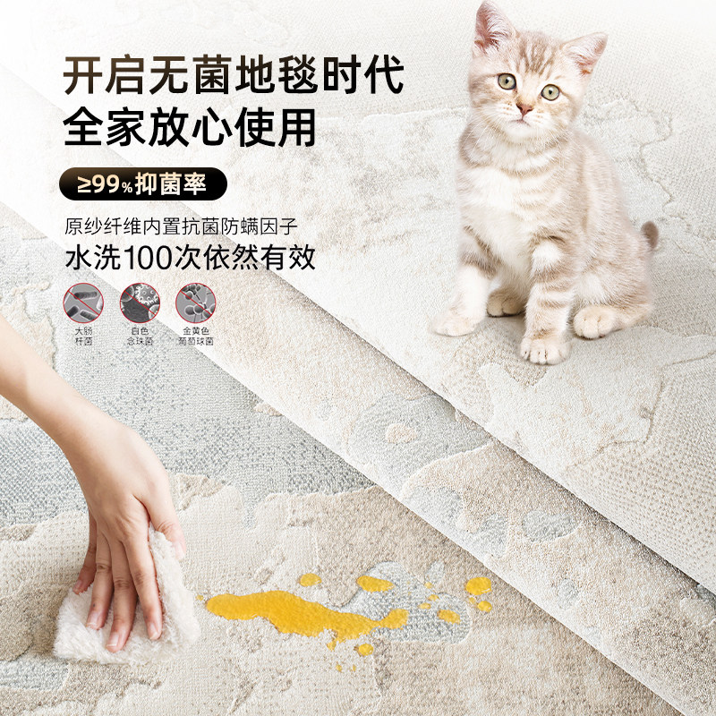 缔奢美客厅地毯无胶防水0甲醛意式极简高档加密加厚抗污卧室地毯,淘宝优惠券,粉丝福利购,淘宝优惠卷