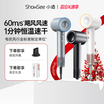 showsees small suitable high speed hair dryer Home speed dry electric blow negative ion hair care thermostatic blow cylinder A18