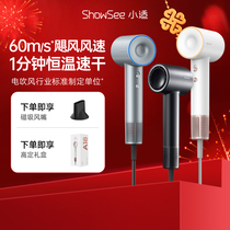 showsees small suitable high speed hair dryer Home speed dry electric blow negative ion hair care thermostatic blow cylinder A18