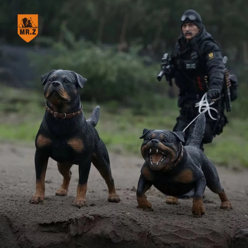 【Mr.Z】1/6罗威纳犬仿真动物 狗模型警犬树脂家居车载摆件配兵人 - 图1