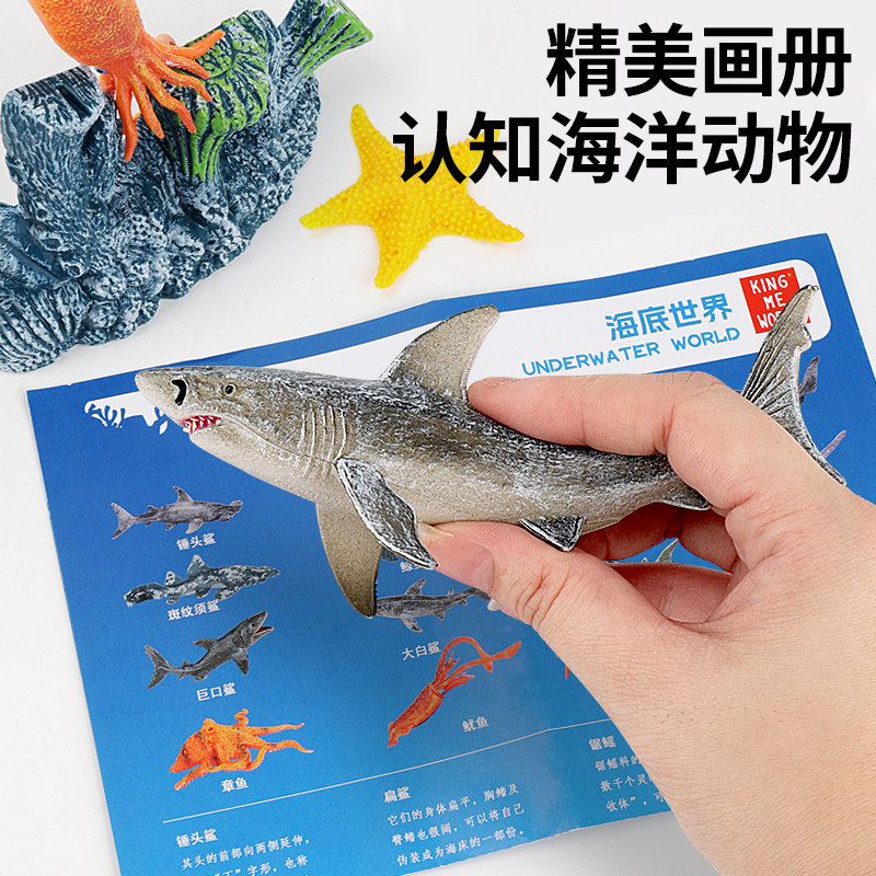 动物模型儿童仿真玩具宝宝早教认知海洋动物海底生物模型套装礼物,淘宝优惠券,粉丝福利购,淘宝优惠卷