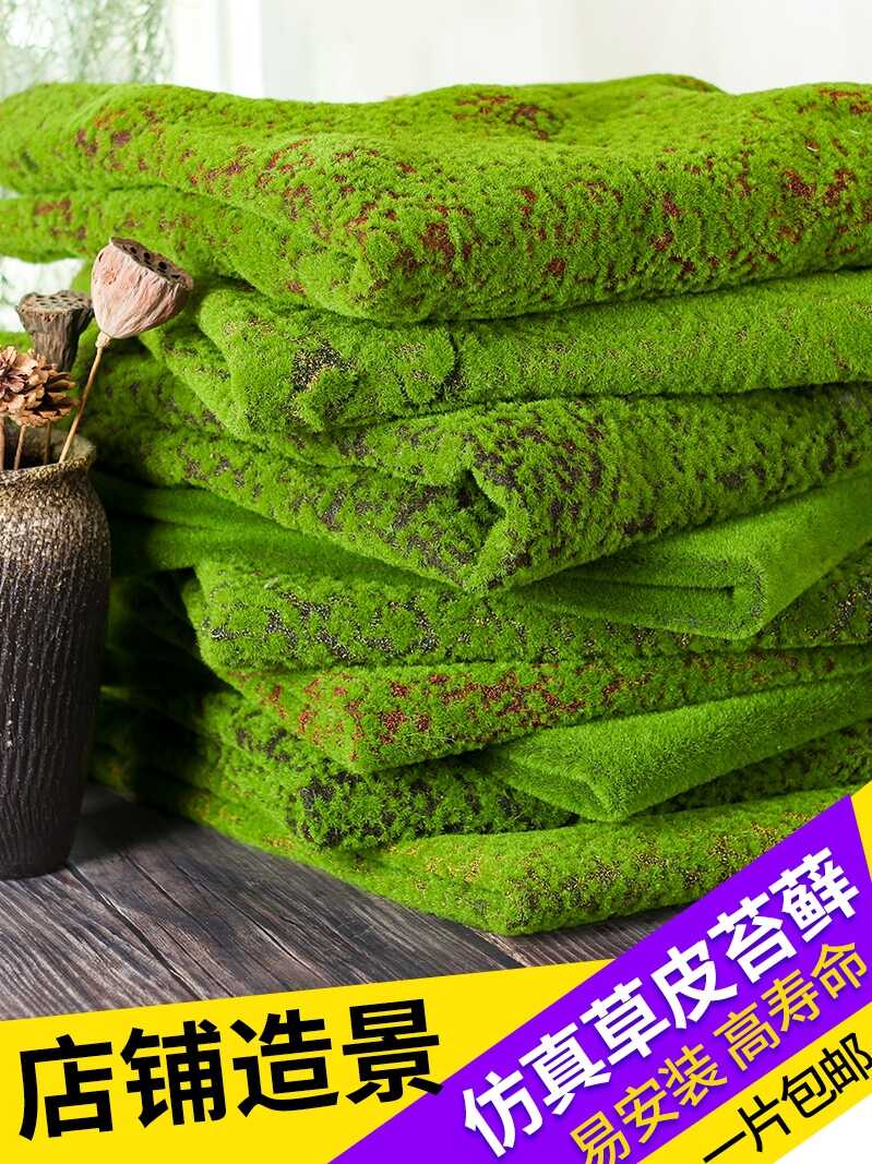 苔球花盆 新人首单立减十元 21年7月 淘宝海外