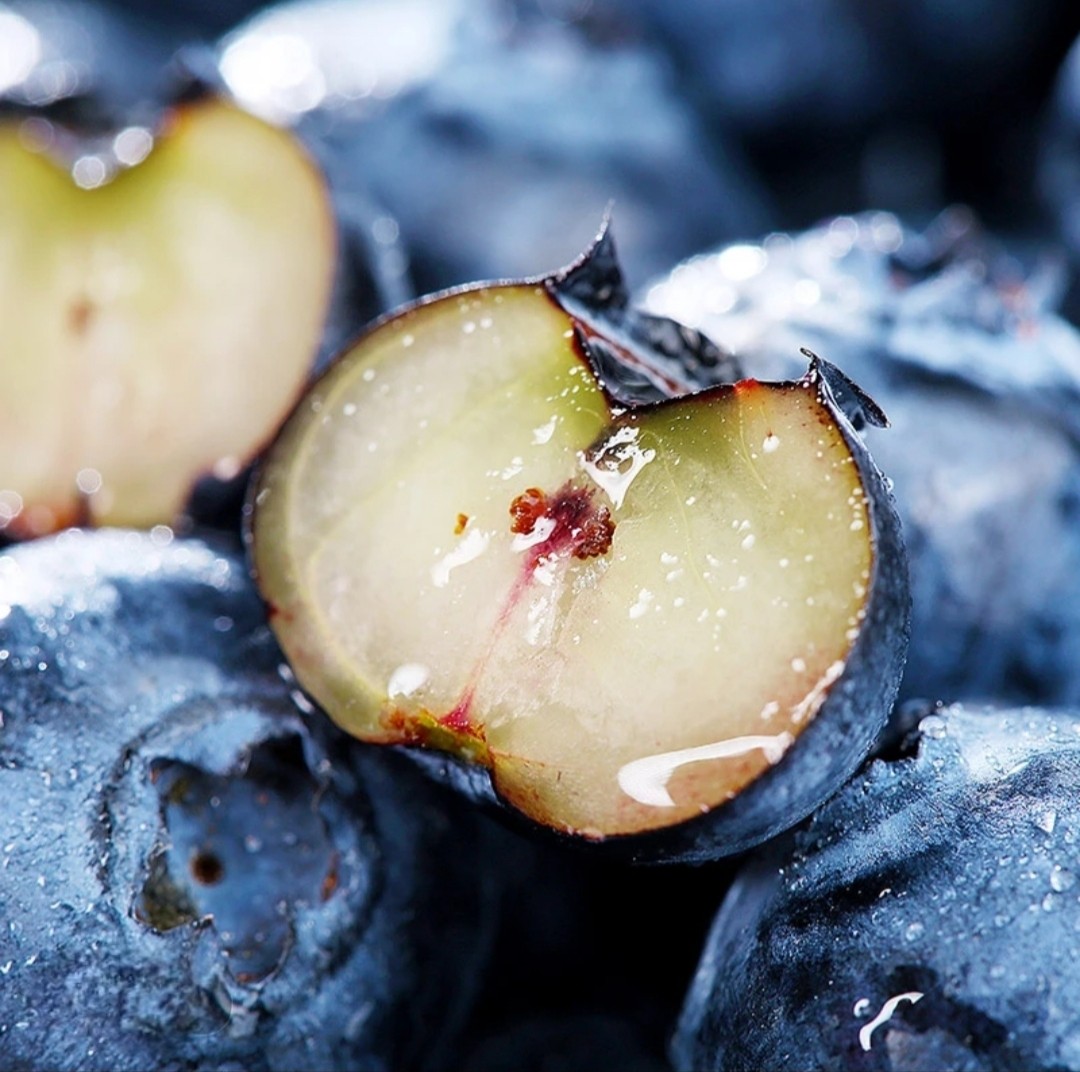 当季水果【云南花香蓝莓】顺丰京东特快包邮头茬上市产地新鲜直发,淘宝优惠券,粉丝福利购,淘宝优惠卷