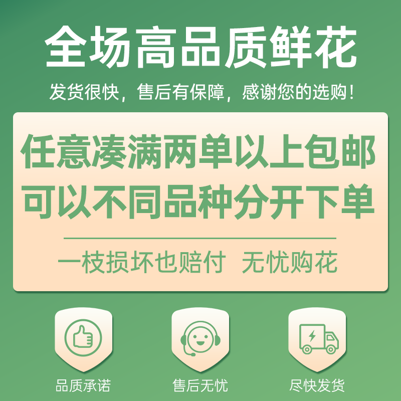 【云舍精选】黄天霸单瓣百合 任意组合2单或以上冷链包邮鲜切花,淘宝优惠券,粉丝福利购,淘宝优惠卷
