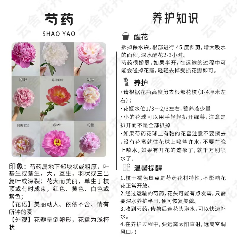 【重瓣】醉红颜芍药【5枝装】全场任意两单包邮鲜切花 - 图0