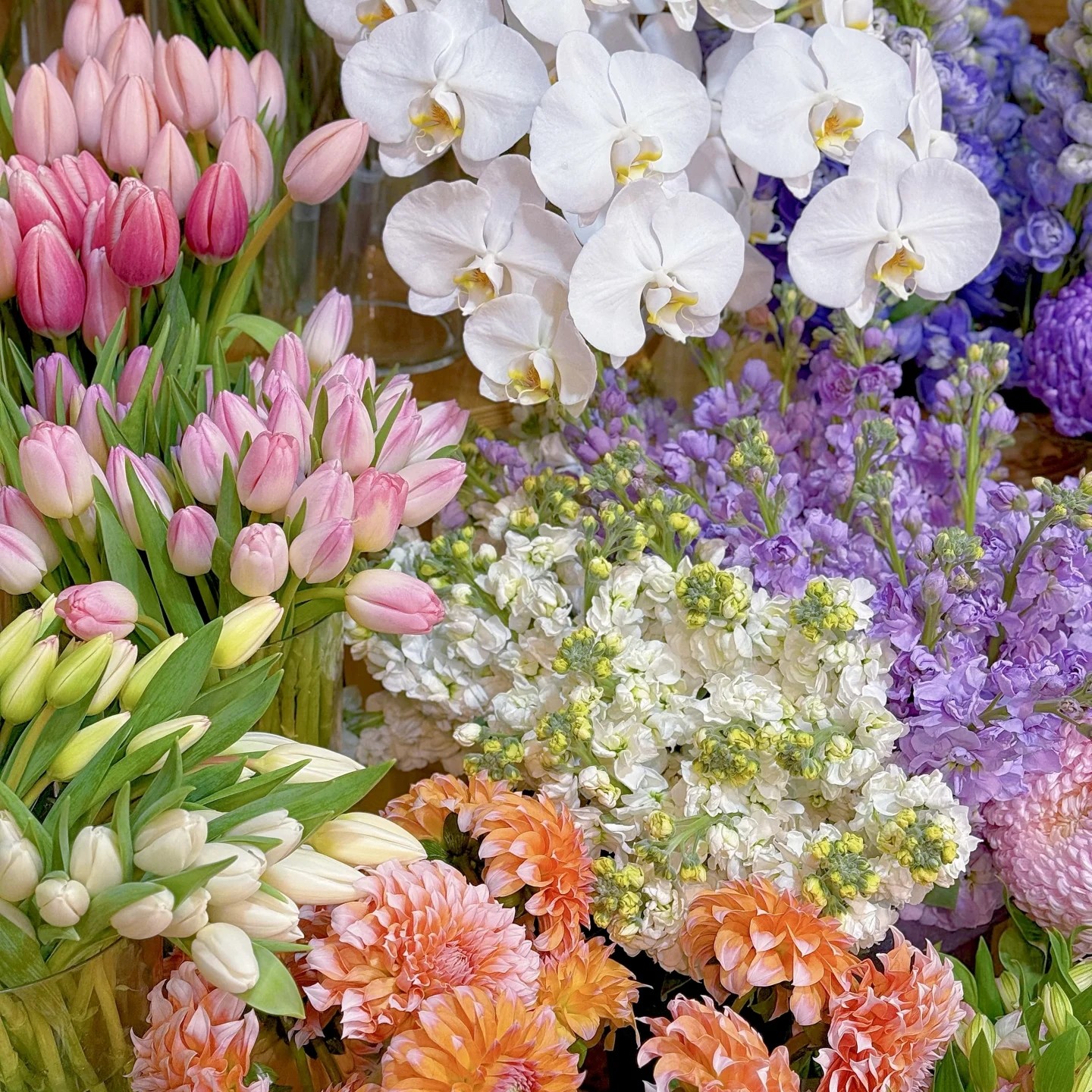 云舍仙女体验【草花精品盲盒】  一单也包邮盲盒鲜切花,淘宝优惠券,粉丝福利购,淘宝优惠卷