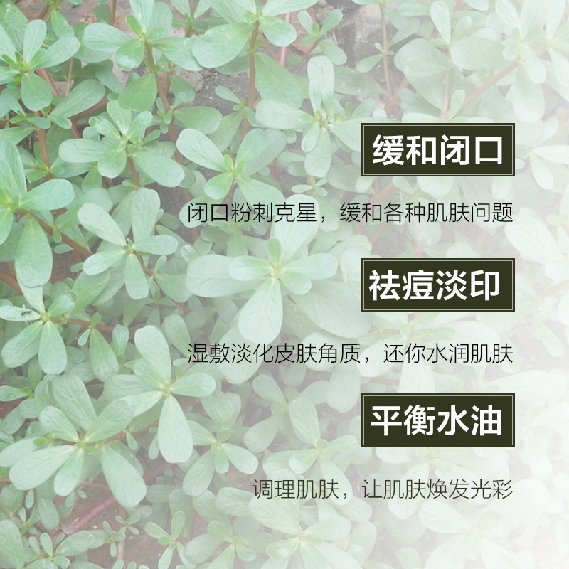 肌理芳华马齿苋喷雾补水痘肌去纯露 肌理芳华纯露/花水