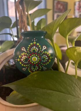 跨境self watering plant spikes花盆自动浇水容器尖刺情人节礼物