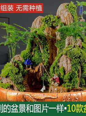 极速小型吸水石盆景假山植物办公C桌室内装饰摆件上水石原石微景