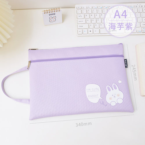 A4手提双层文件袋小学生课本拎书袋卡通可爱试卷收纳袋孕妇b超单资料袋大容量防水a5作业本笔记本拉链袋加厚 - 图0