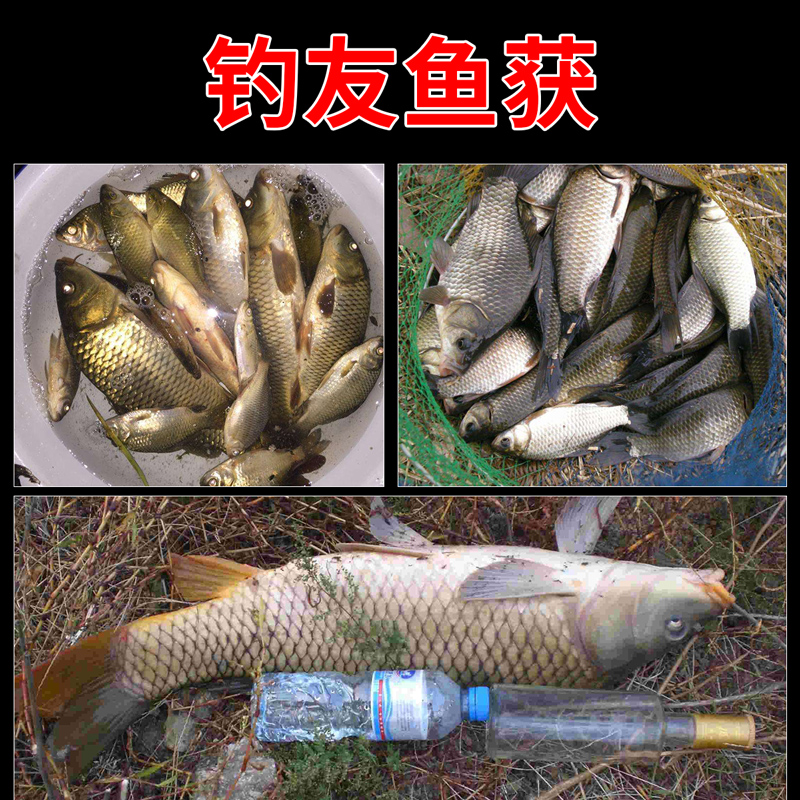 红虫蚯蚓颗粒窝料野钓秋冬季鲫鱼鱼食打窝料鱼料鲤鱼草鱼饵料底窝 - 图3