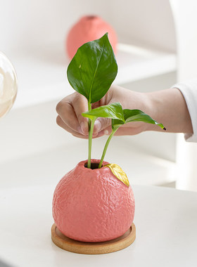 家居装饰摆件水培植物绿萝铜钱草鲜花插花器皿创意客厅桌面花瓶