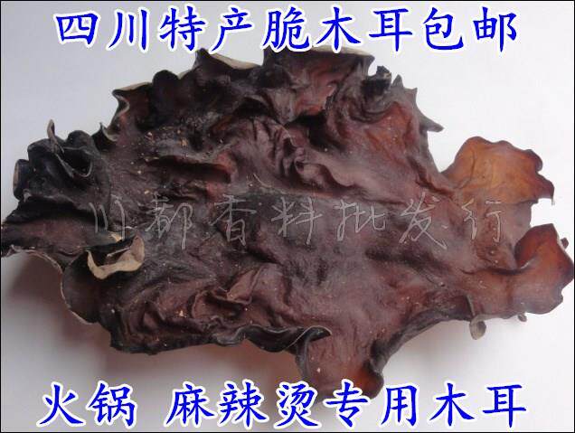 包邮四川大毛木耳白背脆耳子麻辣烫 广农乐黑木耳