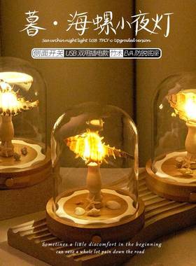 贝壳海胆小夜灯玻璃罩子成品diy材料包团建活动伴手生日礼物摆件