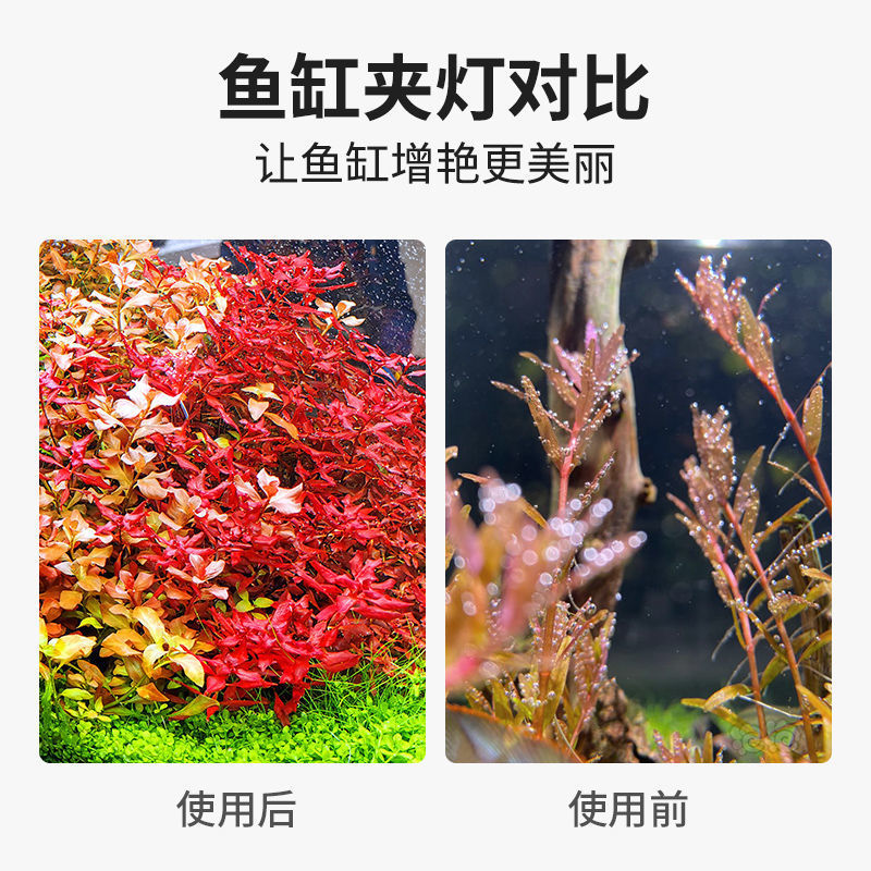 鱼缸l灯夹灯小型节能圆形迷你ub水族专用照明非防水观赏水草灯 - 图1