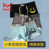 Cat People Pure Cotton Mens Underwear Boys Flat Corner Pants Boy Cartoon Printed Four-corner Shorts Hair-age teenagers
