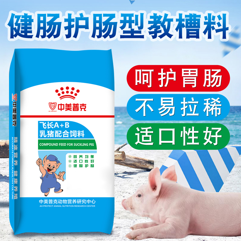 教槽料乳小仔猪教槽料盆仔小猪开口饲料小乳仔猪断奶颗粒饲料猪仔-图1