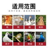 Яйца, яйца, звери с яйцами и рассеянной птицей, яйцами, цыплятами, утками, перепелами, яйцами, яйцами, яйцами, полными яиц