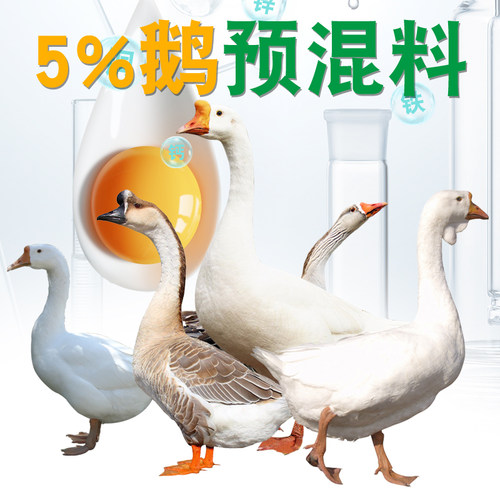 5%鹅用预混料鹅预混料鹅苗狮头鹅专用饲料产蛋鹅饲料预混料 - 图0