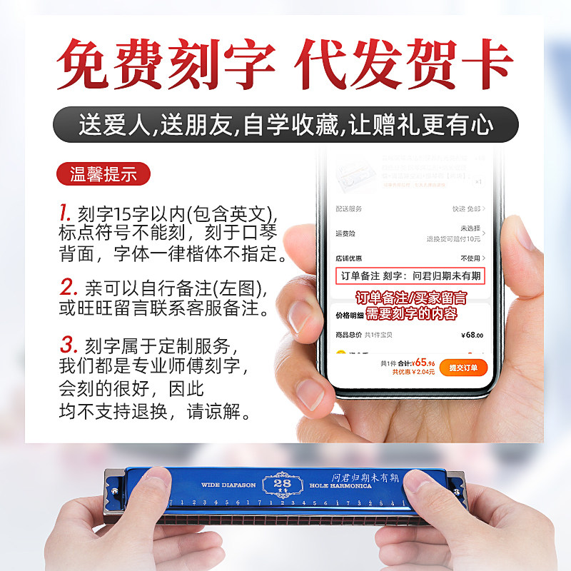 天鹅正品24孔c调复音初学者口琴 音域乐器专营口琴