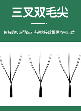 w型嫁接睫毛Elskanlanor