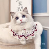 Шарф, аксессуар, чокер, колокольчик с бантиком, кружевная галстук-бабочка, трикотажный слюнявчик, нагрудник, ожерелье, кот, домашний питомец