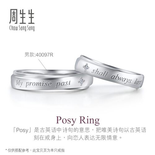 周生生V&A博物馆Pt950铂金钻石戒指白金戒指对戒40096R - 图2