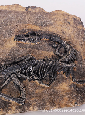 复古恐龙壁挂家居装饰品咖啡厅酒吧办公室个性摆件外贸供货万圣节