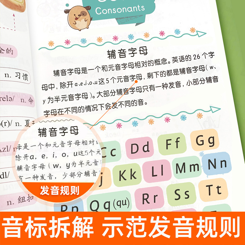 自然拼读记单词小学生英语单词记背神器和音标记单词思维导图快速学习随身记入门教材你得这样背单词趣味巧记48个国际音标卡片发音