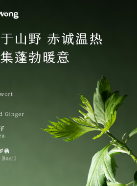 Dr.Wong艾草与姜按摩精油