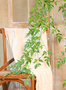 家居墙壁挂件室内森系