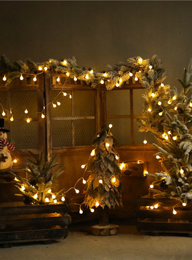 led灯幼儿园森系植物角别墅摆件