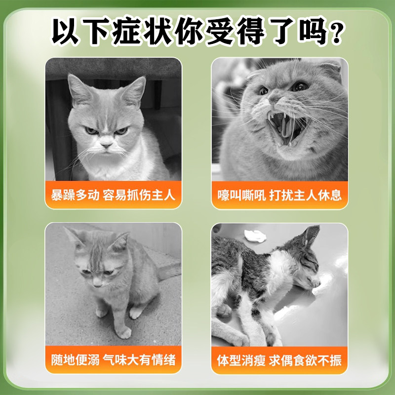 猫咪发情抑制药母猫专用防乱叫乱尿避孕终身绝育公猫禁情粉液喷雾,淘宝优惠券,粉丝福利购,淘宝优惠卷