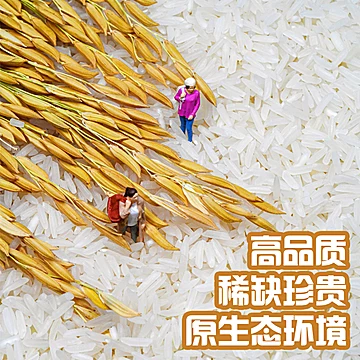 吉内得富硒大米5斤优质大米[4元优惠券]-寻折猪