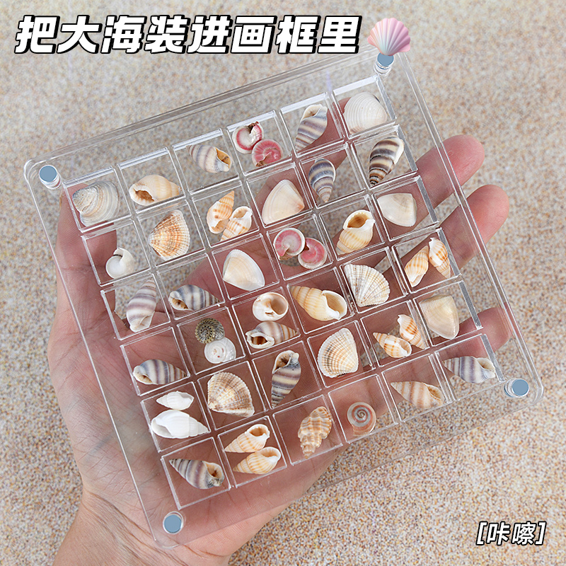 贝壳收纳盒亚克力透明迷你石头海边标本相框展示收藏磁吸收集昆虫