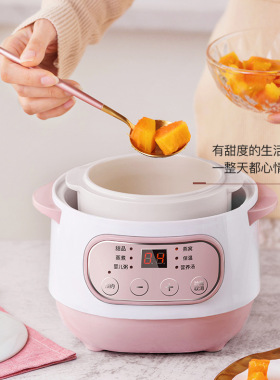 110V-240V跨境出口贸易养生锅电炖锅煮粥燕窝煲汤陶瓷隔水电炖盅