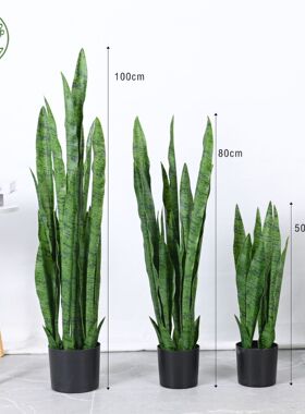 仿真虎皮兰塑料假树植物落地盆栽树 客厅室内花装饰假绿植盆景